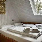Silbermöwen